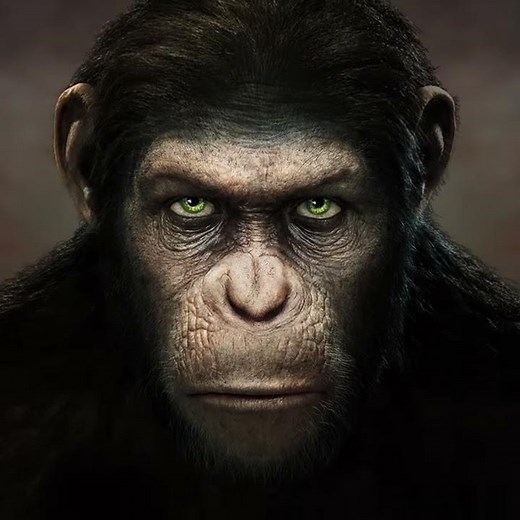 Caesar's Epic Journey | PLANET OF THE APES