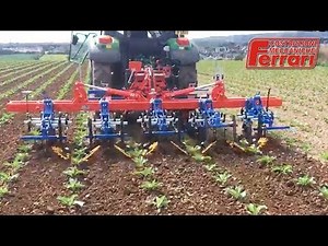 Inter-row Weeder - Ferrari Remolite