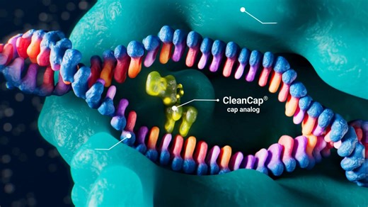 Simplifying IVT, elevating results. Explore a new kit to synthesize capped mRNAs at high yield and low dsRNA—all in one step 👇🏼 https://technet.works/suplicity-meets-superior | The Science Explorer