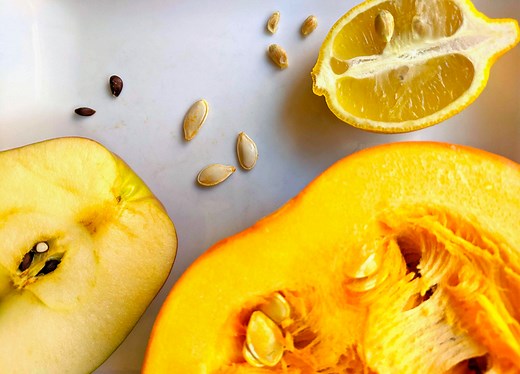 How Many Seeds Do Different Types of Fruit Produce? | STEM Activity