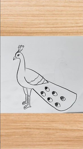 how to draw peacock drawing easy step by step