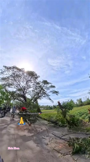 1.7K views · 120 reactions | The damage from the super typhoon Tino #supertyphoon #fallentrees #PrayForThePhilippines #stormdamage #storm | Elvie Ebon | Facebook