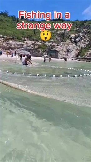 fishing in strange way 🎣🤯 Ever seen fishing like THIS before? Not your typical rod and reel… #WeirdFishing #FishingHack #CrazyCatch #FYP #UnusualFishing #ViralFishing #StrangeTechniques #FishingLife #WhatDidIJustWatch #FishingGoneWild