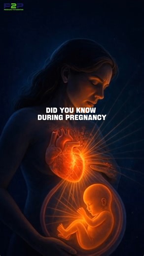 Pregnancy to parenting on Instagram: "🫀 During pregnancy, a woman’s heart undergoes remarkable changes to support the growing baby. As blood volume increases by about 40–50%, the heart muscle becomes stronger and enlarges by roughly 10–15%, allowing it to pump more blood with each beat. This increase in cardiac output ensures enough oxygen and nutrients reach the uterus, placenta, and developing fetus. To meet these demands, the heart rate rises slightly—usually by 10–20 beats per minute—and th