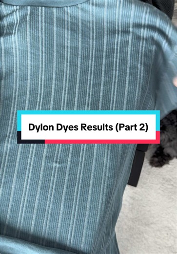 Resultados sorprendentes con Dylon Dye