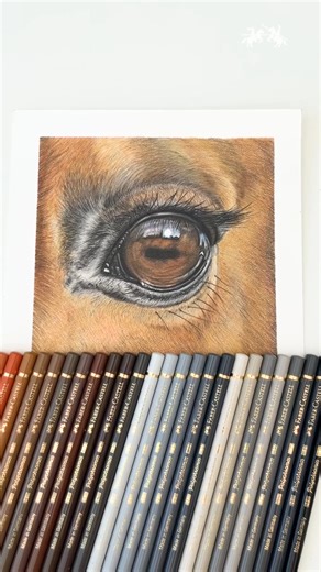 Stunning: Sam (@samantha.cliftart) used her Polychromos pencils to bring this horse’s eye to live and we are absolutely amazed by the result! With her incredible eye for detail, Sam manages to capture both the horse's soft fur as well as the glossy eye with her highly pigmented and lightfast Polychromos pencils. Her combination of light and dark tones, chosen from a range of 120 colours, leaves amplifies the horse's expression. Discover more about the Polychromos pencisl on our Website. https://