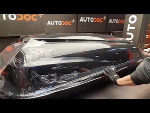 MODULA Travel Easy Roof box