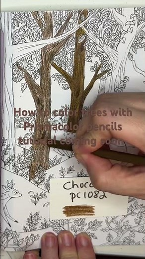 How to color trees with Prismacolor pencils tutorial coming soon