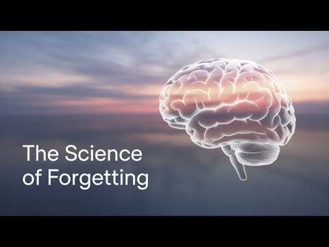 Why We FORGET to Remember: The SURPRISING Science of Your Brains Hidden Wisdom | Sleep Science Story