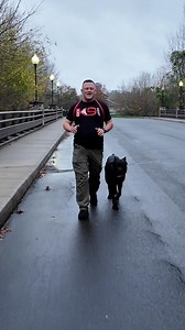 1.7M views · 70K reactions | Is your dog struggling with focus,...