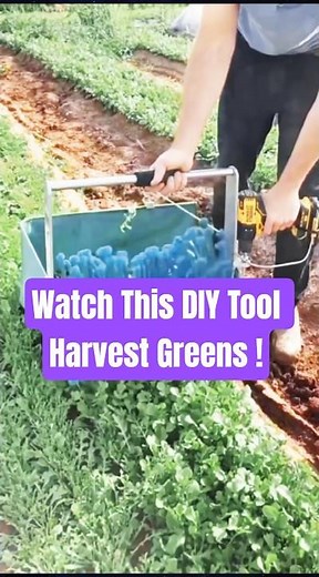 This DIY Vegetable Harvester Powered by a Drill Is Pure Engineering Brilliance ✨