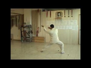 CCK Tai Chi Praying Mantis - Cloudy Palm 竹溪太極螳螂 - 摩云掌