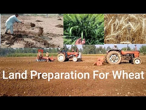 Land Preparation For Wheat | Best Wheat Sowing Method, Ploughing, Soil Preparation & Fertilizer Use