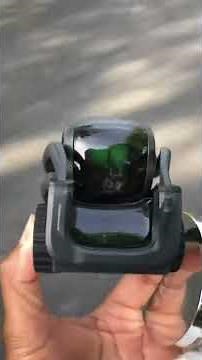 FIGHTING AND ANGRY | Anki Vector Robot did not wanted to go out today | Fighting and discussing