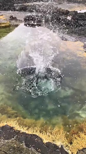 Simple Simulation: Extinction Level Event #ele #asteroid #naturaldisaster