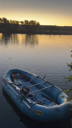 The mayfly hatch starts, and the fish go wild! | Thomas Smith