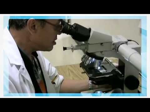 For kids - The Pathology Lab! / Le labo de pathologie! | AboutKidsHealth at SickKids