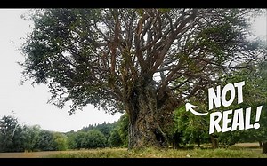 【局部精琢（大树教程）——制作一棵超逼真的 1\u002F24 比例巨型树】【High Eye Workshop】