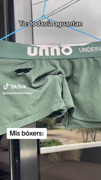 Perros Boxer: Descubre más sobre esta raza canina