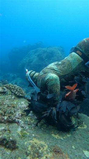 Hawaii's Best Deep Sea Hunter | Ryan Myers