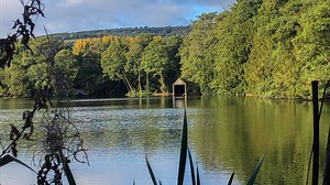 Join me on a 40-hour trip to the lovely Boathouse Fisheries in Shropshire. This five-acre estate lake is more than 100-years-old and contains carp to over 30lb. It's the middle of October when the conditions are all over the place. One minute it's sunny and warm, then it's rainy and cold. The carp prove tricky to tempt during the first half of the trip, but with a little perseverance I manage to bank some nice fish to 28lb. I talk tactics for autumn fishing and we have a chat to the fishery mana