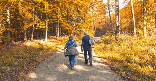 Guide complet des marches ADEPS et FFBMP : 23 sorties nature pour le week-end du 18-19 octobre 2025