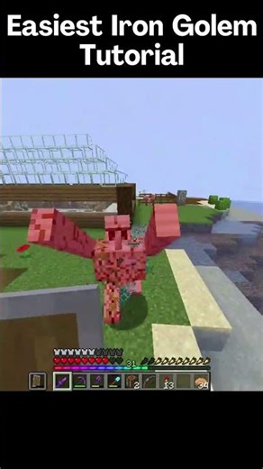 BEST Tips And Tricks For Iron Golems........