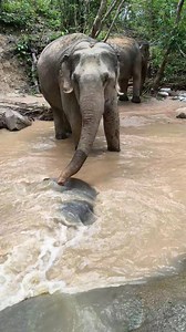 6.6K views · 536 reactions | ***Beliefs and Ways of Life*** 1. Bond...