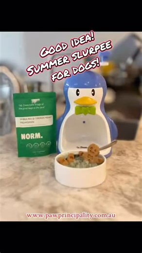 The Paw Principality on Instagram: "Sun’s out, tongues out! 👅☀️ If you thought summer was packing its bags, think again! We’ve got more heatwaves on the horizon, but don’t sweat it—we’ve got the ultimate “cool down” hack for your favorite four-legged legends. 🐾❄️ 🧊 The Secret Sauce: Gourmet Bone Broth Forget plain old water. Level up your pet’s hydration with our human-grade Beef, Chicken, or Lamb Bone Broth. It’s packed with nutrients and flavor that’ll have them doing zoomies around the fre