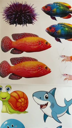 DIY Aquarium Craft for Kids | Fun Activity Ideas