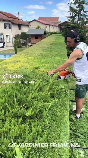 Taille ensoleillée : STIHL HSA 150 T coupe et nettoie efficacement