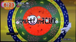 AAA 2015_9_18めざましテレビ