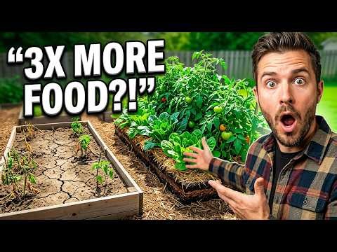 This ‘Forbidden’ Mulch Method Can TRIPLE Your Harvest No One Talks About It