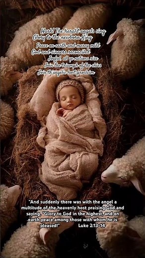 Hark! The herald angels sing #worship #christ #christmas #saviour #lightoftheworld