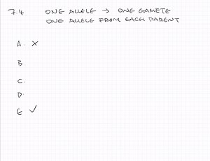 SOLVED:The law of segregation states that: a) the transmission of genetic diseases within families is always recessive. b) an allele on one chromosome will always segregate from an allele on a different chromosome. c) gametes cannot be separate and equal. d) the number of chromosomes in a cell is always divisible by 2 e) each of two alleles for a given trait segregate into different gametes.