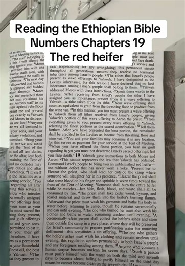 Numbers 19 Red Heifer Explained — Reading the Ethiopian Bible