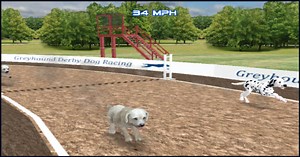 Dog Racing Simulator | Play the Game for Free on PacoGames