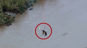 53K views · 660 reactions | Posle 24 sata provedena u reci, stigao je spas za zaglavljenog konja  Iscrpljena životinja je helikopterom prevezena na bezbedno  | BBC News na srpskom | Facebook