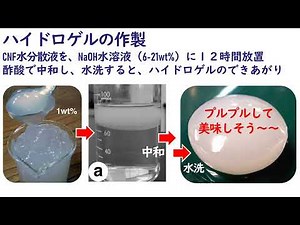 【論文 2011】NaOH処理＆中和でCNFがゲル化