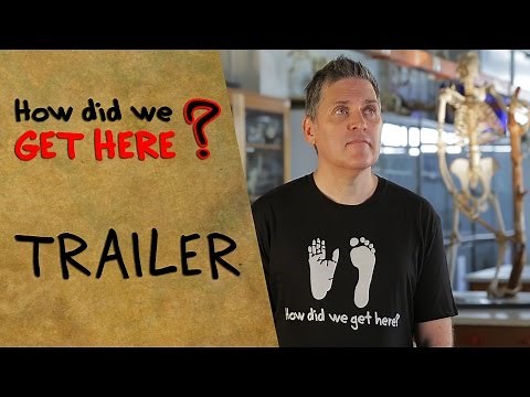 How Did We Get Here?