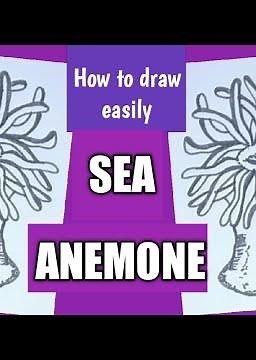 How to draw sea anemone easily/ sea anemone easy drawing