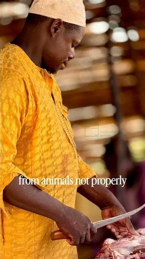 What is halal Medicine?