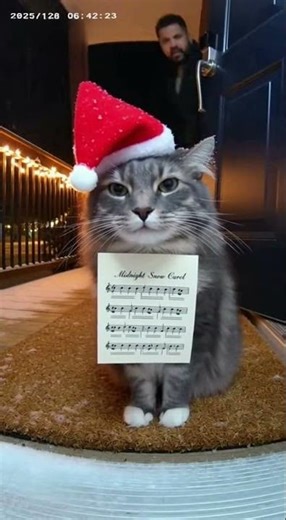 Cat Is Singing Christmas Carols 🎄