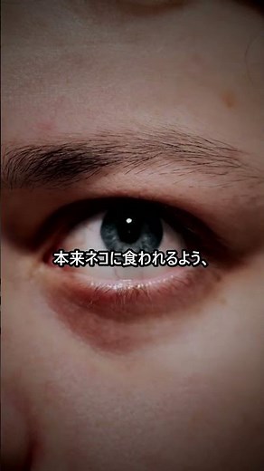 寄生虫が恐怖を消す