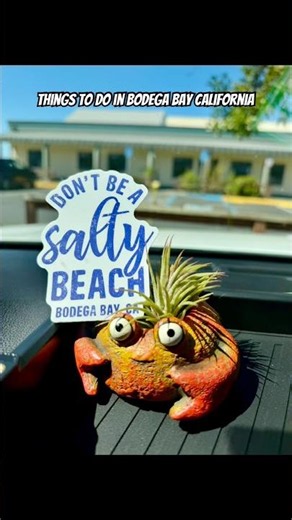 Things to do in Bodega Bay California! #bodegabay #sonomacounty #scenicviews #foodie #freshseafood