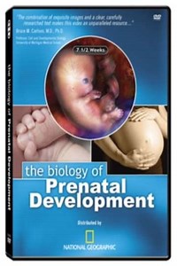 The Biology of Prenatal Development - Movie