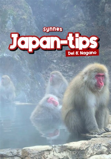 Favorittstedet mitt i Japan! Nagano er en litt mindre by uten masse turister, omringet av sinnsyk natur. Byen har også snøaper og de kuleste (og eldste) templene jeg så🇯🇵 #reisevlog #nagano #japanvlog #japanreise #reisetips