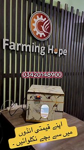 50 To 60 Eggs Incubator | Farming Hope