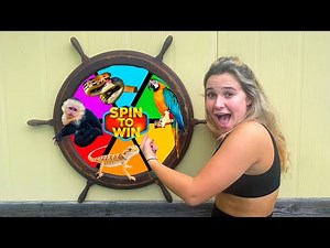 SPIN THE WHEEL! BUYING WHATEVER ANIMAL IT LANDS ON!