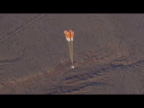 SpaceX CEO's Vision For Humanity in Space #shorts